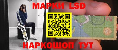 твердый Камышлов