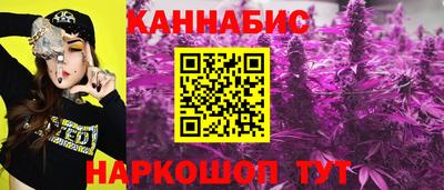 твердый Камышлов