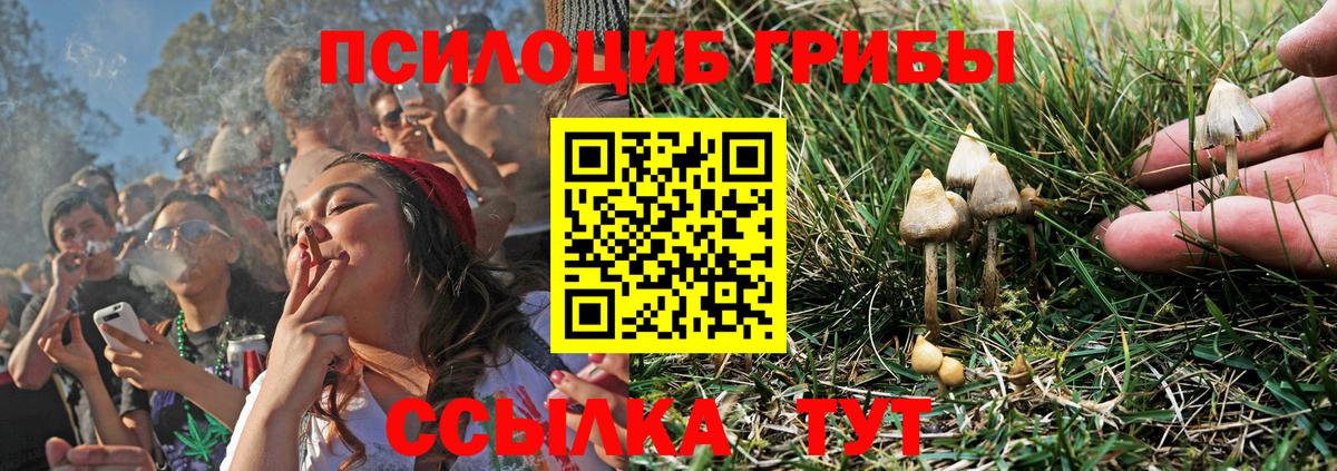 Лесной  Галлюциногенные грибы прущие грибы  где можно купить   Вход с VPN  Галлюциногенные грибы MAGIC MUSHROOMS 