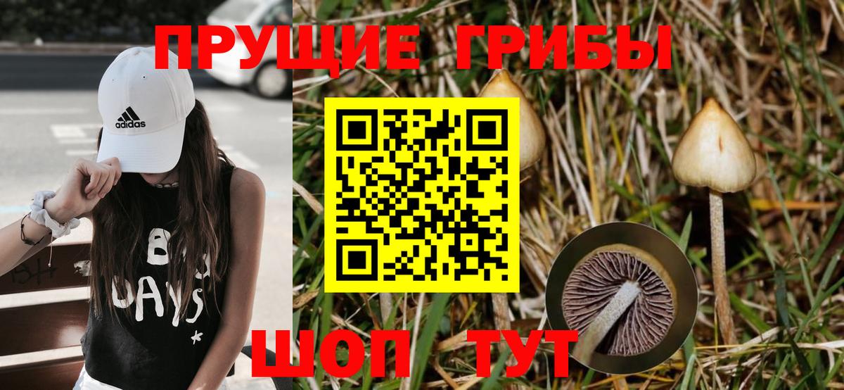 Псилоцибиновые грибы мухоморы Лесной